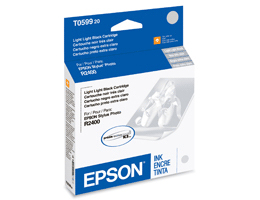 T059920 Epson Light Light Black Original Ink Cartridge