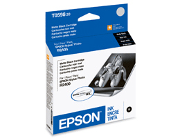 T059820 Epson Matte Black Original Ink Cartridge